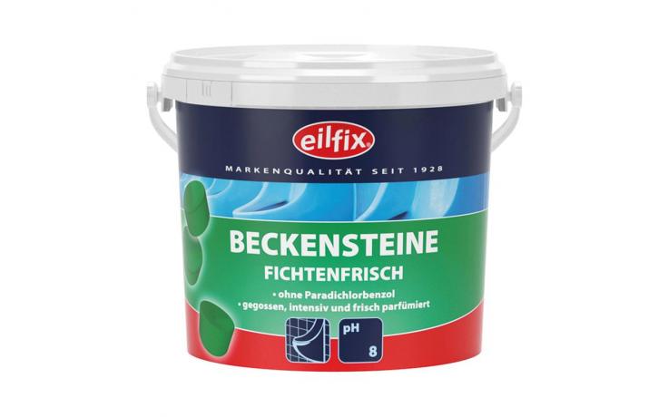 Beckensteine Fichte