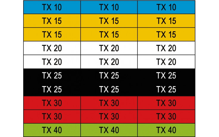 RECA Bit Satz TX 31-teilig