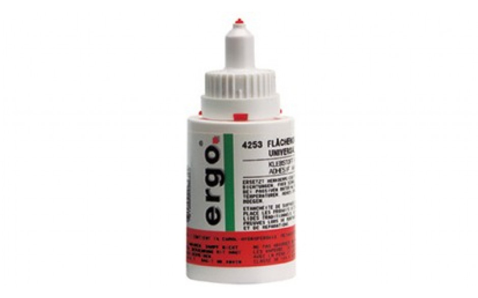 ERGO 4253 Flächendichtung universal 50 g
