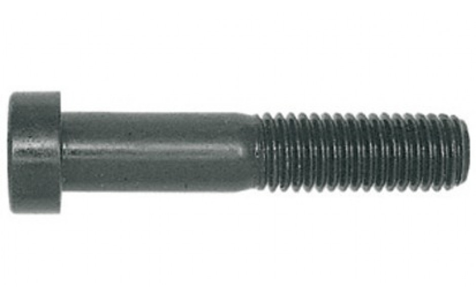 Zylinderschraube DIN 6912 - 010.9 - blank - M6 X 25