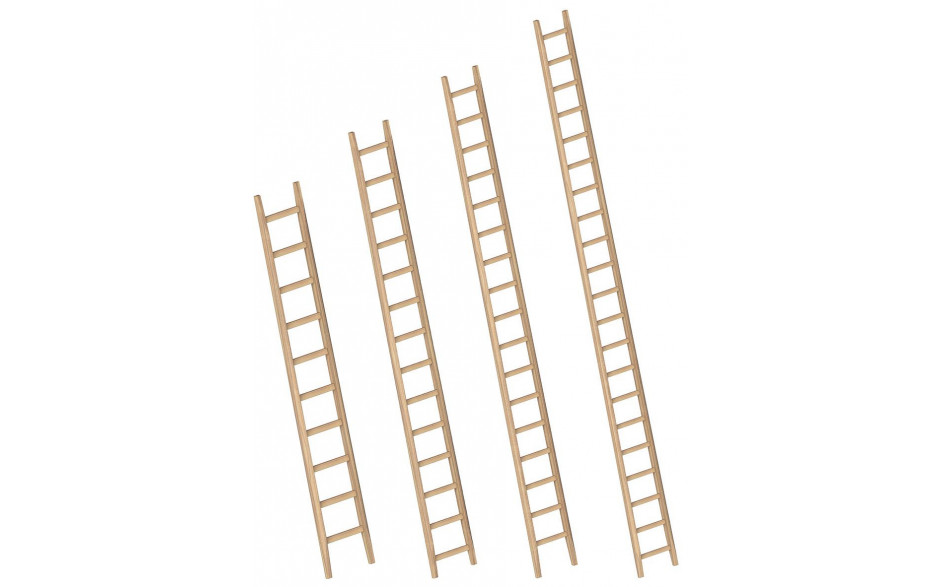 Holz-Anlegeleiter, Länge 3 Meter