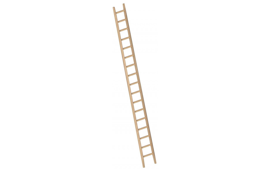 Holz-Anlegeleiter, Länge 5 Meter