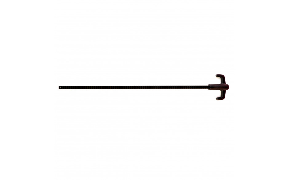 CGUN PLUNG ROD L P1M