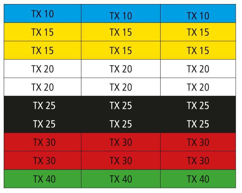 RECA Bit Satz TX 31-teilig