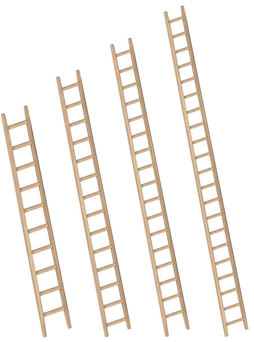 Holz-Anlegeleiter, Länge 3 Meter