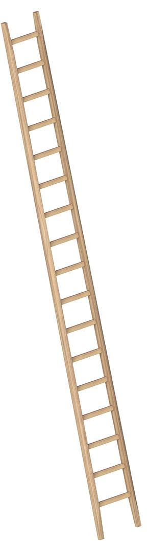 Holz-Anlegeleiter, Länge 5 Meter