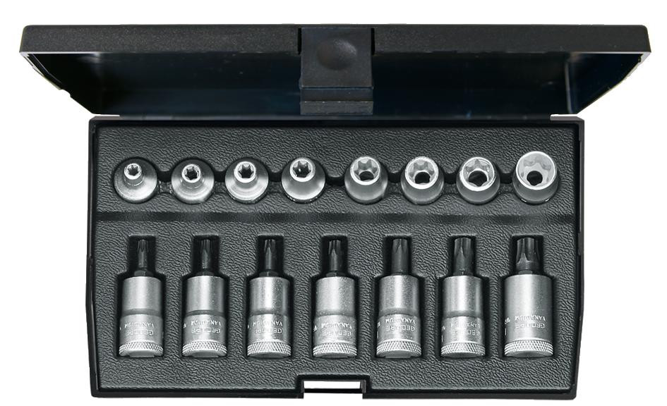 Satz Schraubendrehereinsätze ITX 30 TX-015