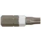 RECA-EVO TORX-NAS.1/4ZO TXW 20X25MM BELA