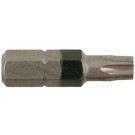 RECA-EVO TORX-NAS.1/4ZO TXW 25X25MM ČR.