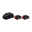 Startni komplet: 2 x GBA 18 V, 5,0 Ah in GAL 1880 CV